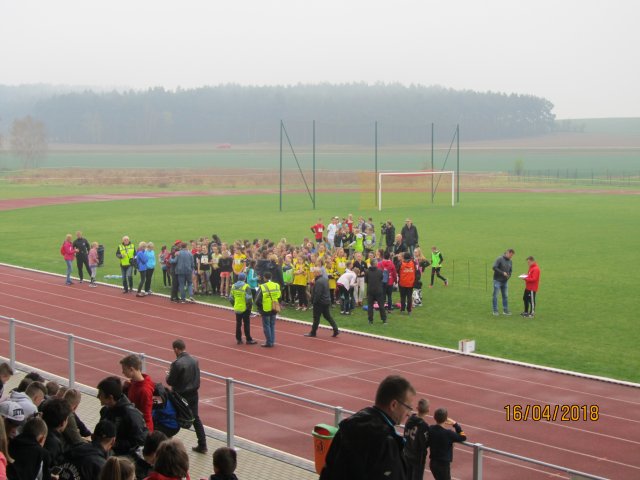 sztaf 6